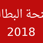 بداية من 2018 منحة بطالة قارة لفاقدي الشغل تفاصيل