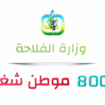 عـــاجل انتداب 800 عون استقصاء