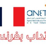 aneti internationnal