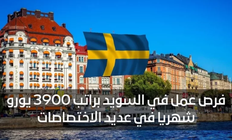 العمل في السويد 2024