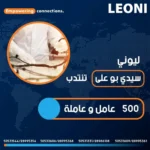 فرص عمل للعمال والعاملات في شركة ليوني لتصنيع كوابل السيارات