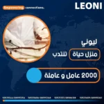 تفاصيل عرض العمل والوثائق المطلوبة للانتداب في ليوني