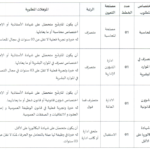 جدول يعرض الاختصاصات والرتب المطلوبة في مناظرة انتداب الوكالة التونسية للتعاون الفني لسنة 2024 وشروط المشاركة.