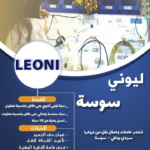 فرص شغل هامة في ليوني تونس المتخصصة في كوابل السيارات