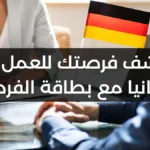 دليلك الشامل للحصول على فيزا البحث عن عمل في ألمانيا 2024 بطاقة الفرص Chancenkarte