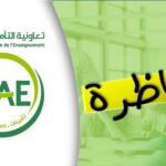 مناظرة إنتداب في تعاونية التأمين للتعليم MAE فرص عمل هامة في عديد الإختصاصات لسنة 2024