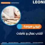 إعلان انتداب بشركة ليوني ماطر الجنوبية - فرص عمل جديدة