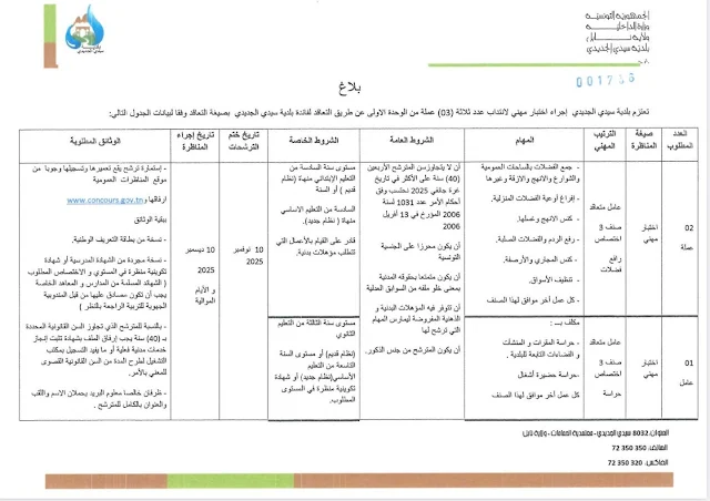 استمارة الترشح لمناظرة بلدية سيدي الجديدي - الصفحة 5