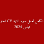 كيفية عمل CV تونسي ناجح دليلك خطوة بخطوة للتميز في سوق الشغل