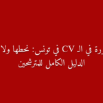 دليل كامل حول صورة السيرة الذاتية في تونس الإجابة النهائية والنصائح