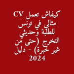 دليل كتابة سيرة ذاتية CV احترافية في تونس للمتخرجين الجدد بدون خبرة