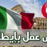 عروض عمل بفرنسا وإيطاليا عبر الوكالة الوطنية للتشغيل ANETI في عديد الاختصاصات والمستويات